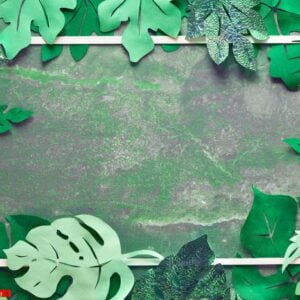 paper craft background, frame with exotic tropical leaves with text space on dark