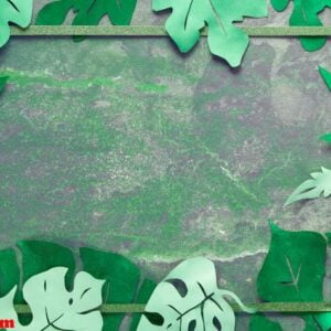 paper craft background, frame with exotic tropical leaves with text space on dark