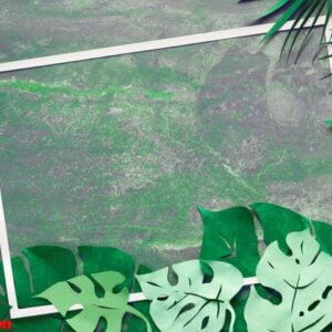 paper craft background, frame with exotic tropical leaves with text space on dark