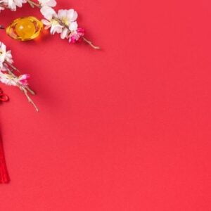 design concept of chinese lunar new year beautiful chinese knot with plum blossom isolated on red background, flat lay, top view, overhead layout.