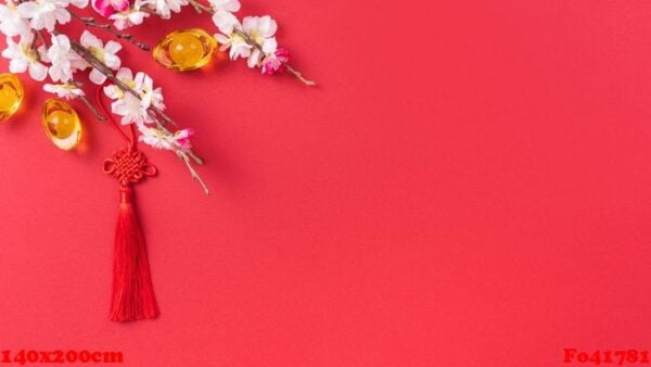 design concept of chinese lunar new year beautiful chinese knot with plum blossom isolated on red background, flat lay, top view, overhead layout.