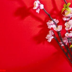 plum blossom on red paper top view