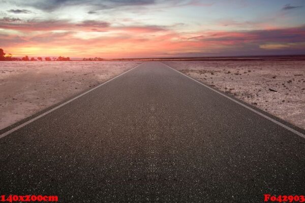 asphalt road with tree and drought land