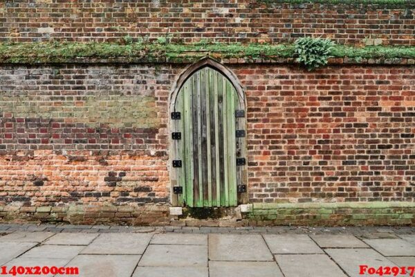 medieval door on a weathered stony wall.