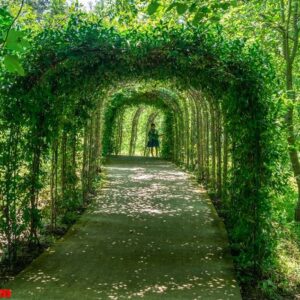 beautiful green tunnel with light in background in tvermaghala p