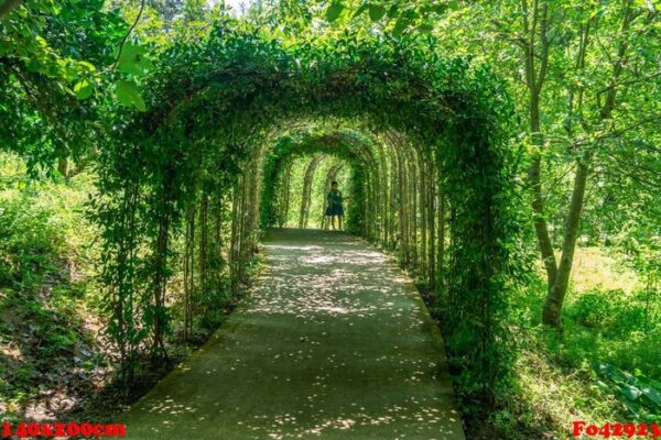 beautiful green tunnel with light in background in tvermaghala p