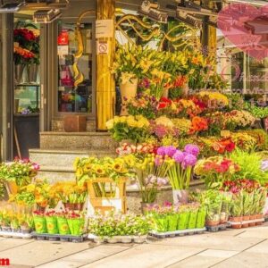 bouquets of colorful flowers, selective focus.