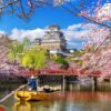 cherry blossoms and castle in himeji, japan.