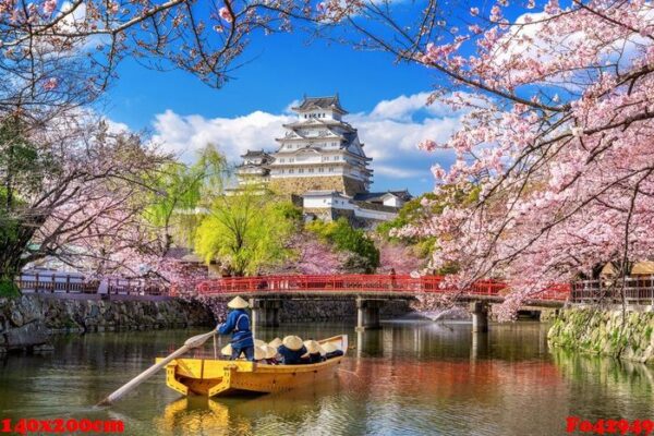 cherry blossoms and castle in himeji, japan.