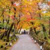 colorful autumn leaves and walk way in park, kyoto in japan. pho