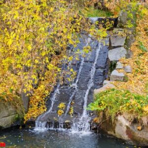 current stream in the stone bed. autumn landscape