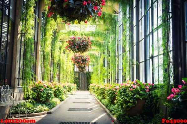 green alley with flowers hanging in pots.