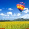 hot air balloon over yellow flower fields with mountain and blue sky background