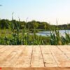 mockup. empty wooden deck table with foliage bokeh background.