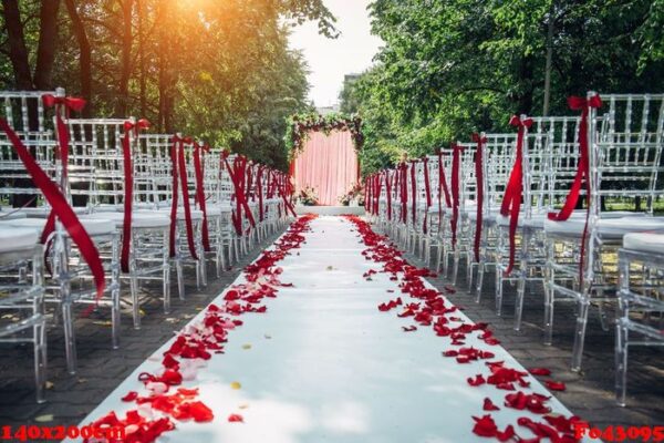 passage between the chairs, decorated with rose petals leads to the wedding arch. solemn wedding registration in the park among the green trees.