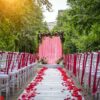 passage between the chairs, decorated with rose petals leads to the wedding arch. solemn wedding registration in the park among the green trees.