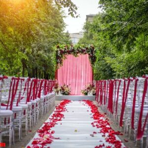 passage between the chairs, decorated with rose petals leads to the wedding arch. solemn wedding registration in the park among the green trees.