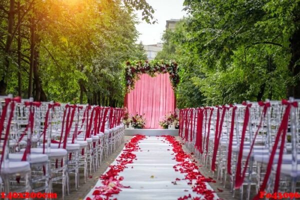 passage between the chairs, decorated with rose petals leads to the wedding arch. solemn wedding registration in the park among the green trees.