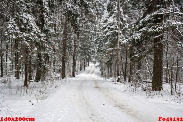 snowy road in the forest in a winter cloudy day