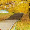 stone staircase in the park strewn with yellow autumn leaves. autumn landscape