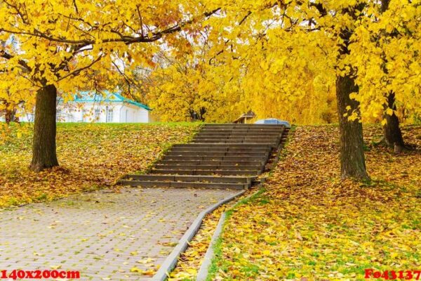 stone staircase in the park strewn with yellow autumn leaves. autumn landscape