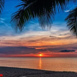 sunset and palms