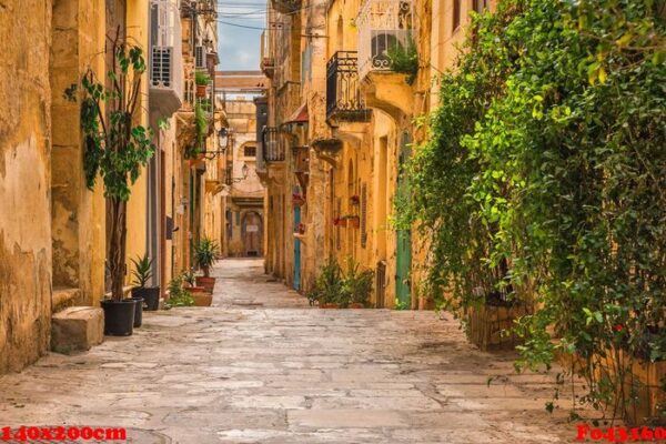 valletta, malta. old medieval empty street with yellow buildings and flower pots