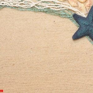 background with a blue starfish and shells