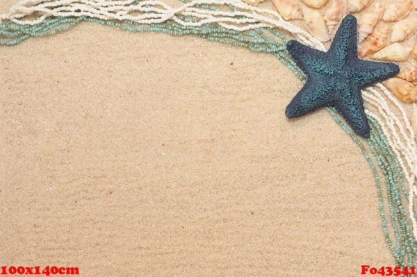 background with a blue starfish and shells