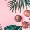 coconuts on a pastel background.