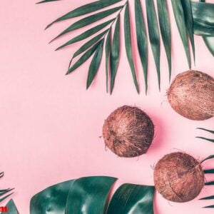 coconuts on a pastel background.