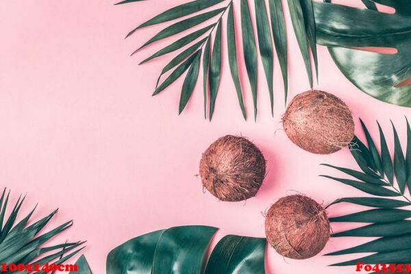 coconuts on a pastel background.