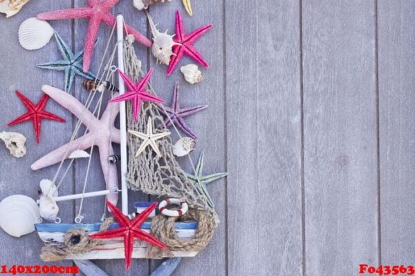 starfish and boat with copy space