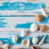 seashells on blue wooden board. summer holiday background.