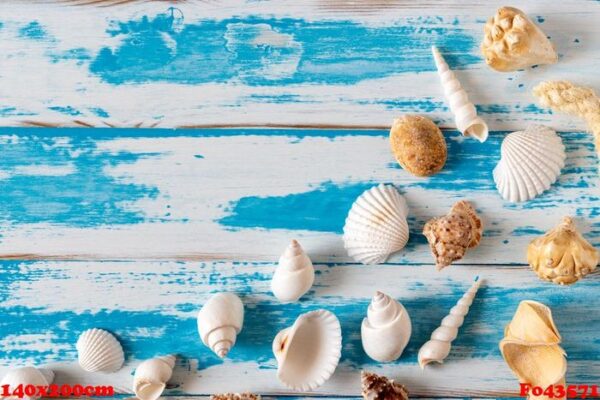 seashells on blue wooden board. summer holiday background.