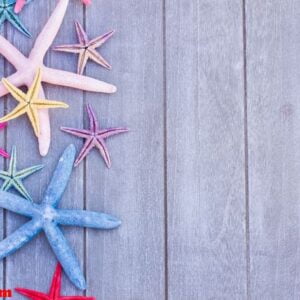 starfish on wooden board