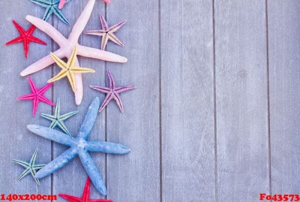 starfish on wooden board