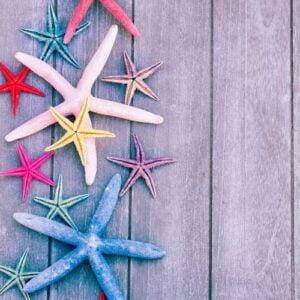 starfish on wooden board