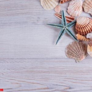 starfishes and seashells on white rustic wooden background, top view