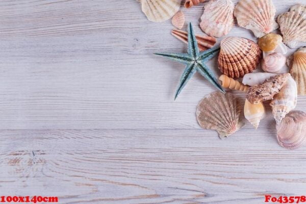 starfishes and seashells on white rustic wooden background, top view