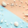 top view of seashell set with copy space on color background. su