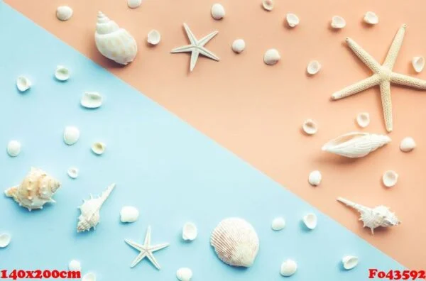 top view of seashell set with copy space on color background. su