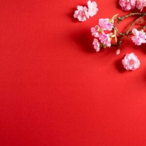 chinese new year festival decorations made from plum blossom on