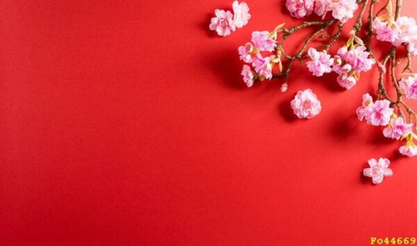 chinese new year festival decorations made from plum blossom on