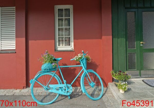 bicycle near traditional scandinavian house