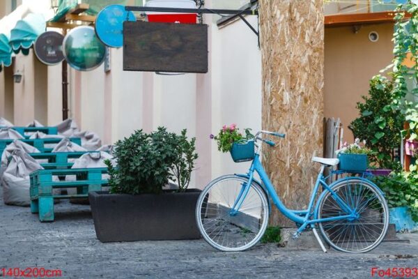 bicycle with decorated basket