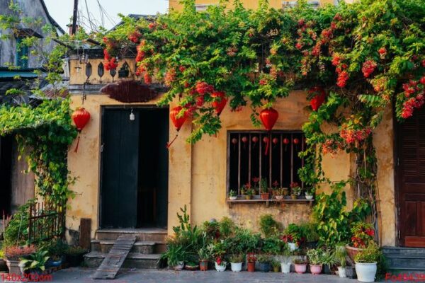 old house in hoi an ancient city . popular place in vietnam.picturesque traditional old yellow houses.