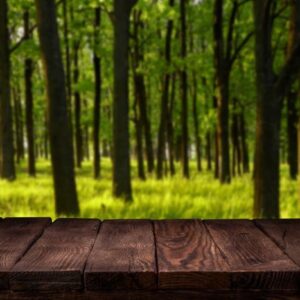 scene creator. mockup. empty wooden deck table with summer bokeh background.