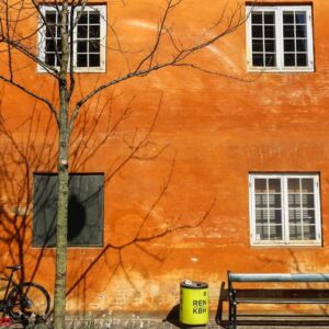 shot of bicycle, bench, bin and a naked tree next to a brick building