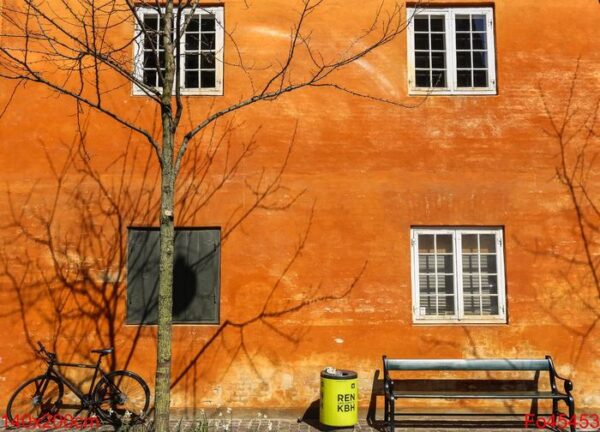 shot of bicycle, bench, bin and a naked tree next to a brick building